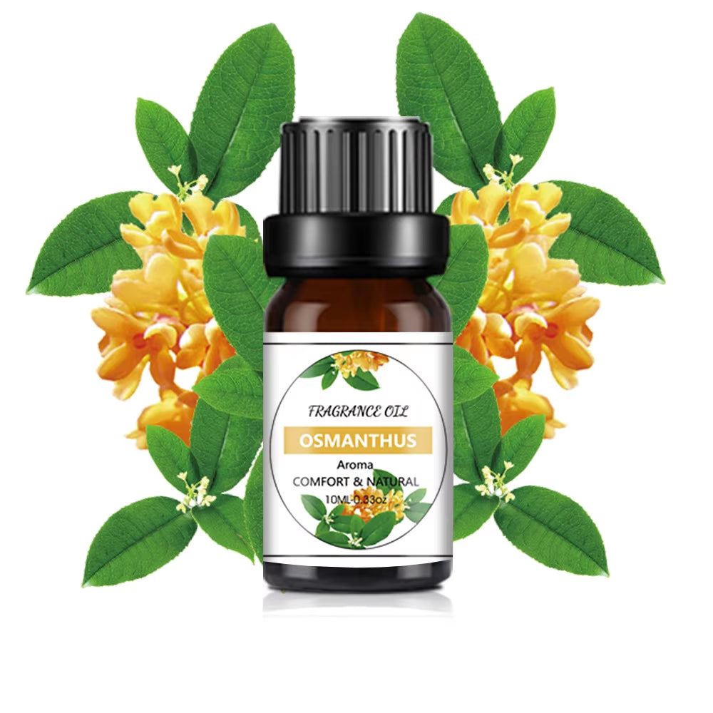 10ML Fragrance Oil Nature Plant Making Diffuser Essential Oils Strawberry Mango Pineapple Flavoring Oil for Diy Candle Soap